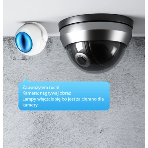 Na zdjęciu znajduje się czujnik ruchu oraz kamera monitoringu zamontowane na suficie. Czujnik ma biało-niebieską obudowę, a kamera jest w kształcie półkuli z czarno-srebrnym wykończeniem.